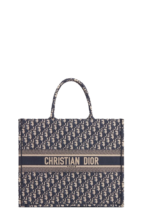 Oblique Dior book tote bag